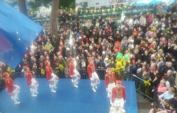 Празник мимозе пркоси киши и ветру (ФОТО)